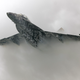Illustration for article titled All These Jaw-Dropping Airplane Images Were Taken By This Flying Photog